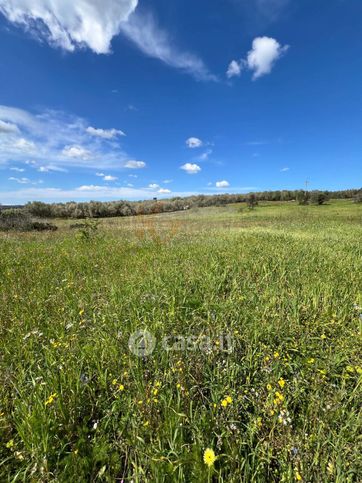 Terreno agricolo in commerciale in Via Caniga