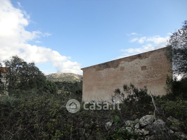 Terreno agricolo in commerciale in LocalitÃ  Surrau