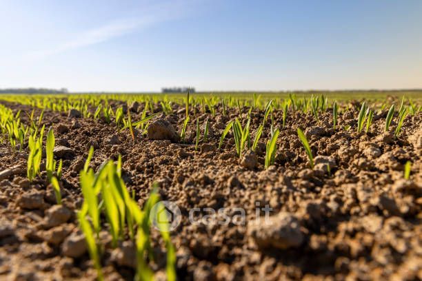 Terreno agricolo in commerciale in Via Francesco Baracca