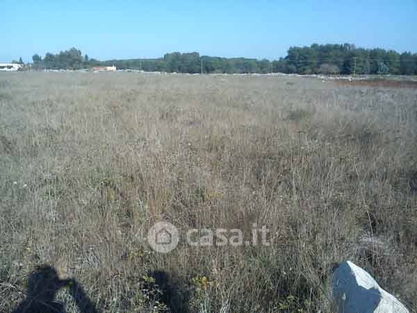 Terreno edificabile in residenziale in Strada Comunale Luci