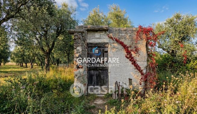 Terreno agricolo in commerciale in 