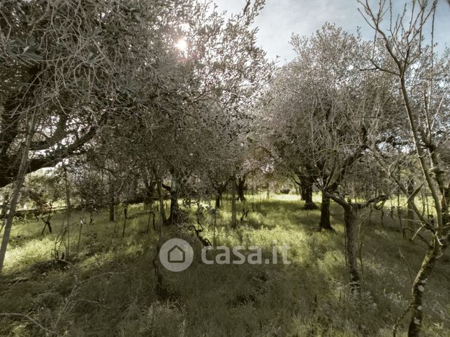 Terreno agricolo in commerciale in Via Antonio Furlan