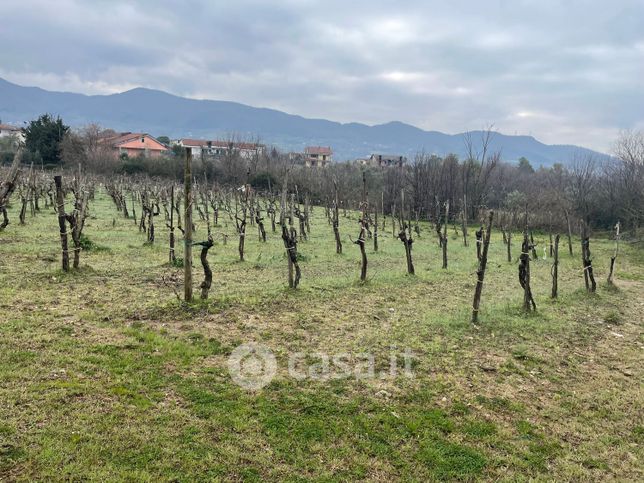 Terreno agricolo in commerciale in Via Santa Croce 5