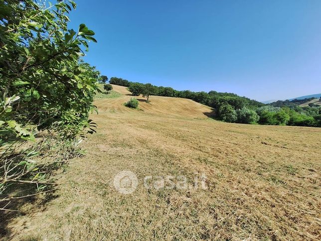 Terreno agricolo in commerciale in