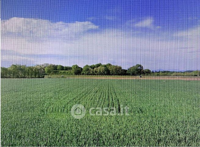 Terreno agricolo in commerciale in Via dei Partigiani 5