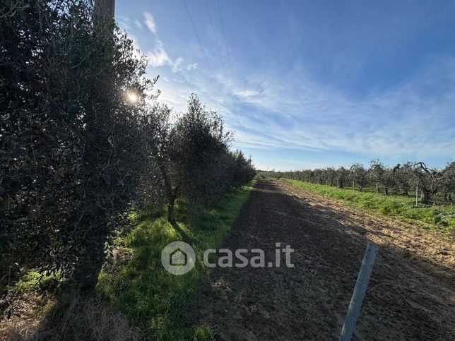 Terreno agricolo in commerciale in Via Carlo Ederle