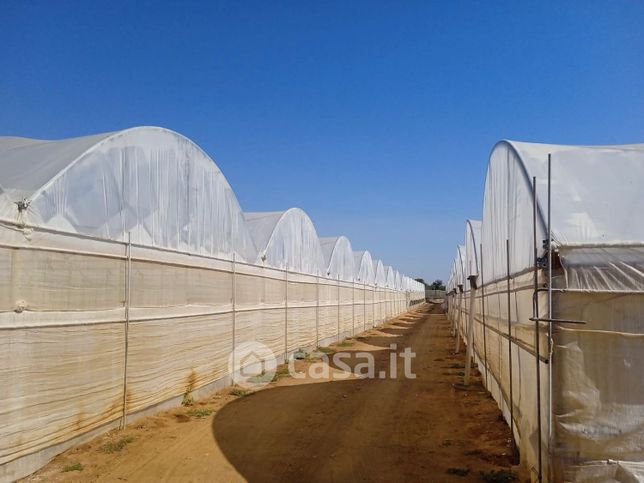 Terreno agricolo in commerciale in scoglitti