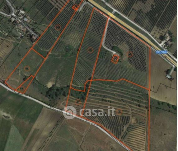 Terreno agricolo in commerciale in Contrada Costantino