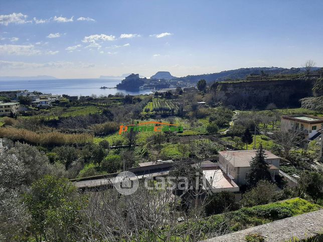 Terreno edificabile in residenziale in Strada Provinciale Scalandrone 40