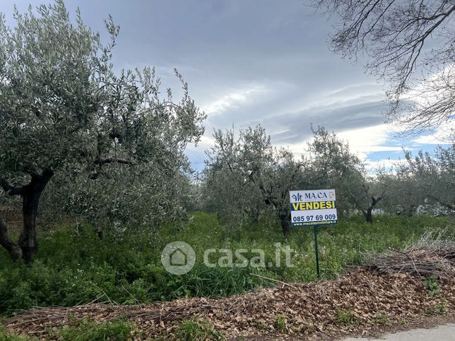 Terreno edificabile in residenziale in Contrada Fonteschiavo