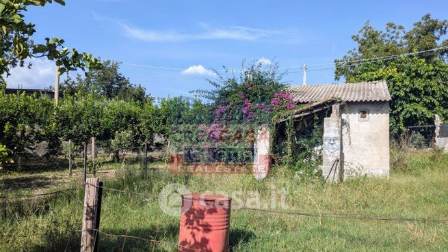 Terreno agricolo in commerciale in Strada senza nome