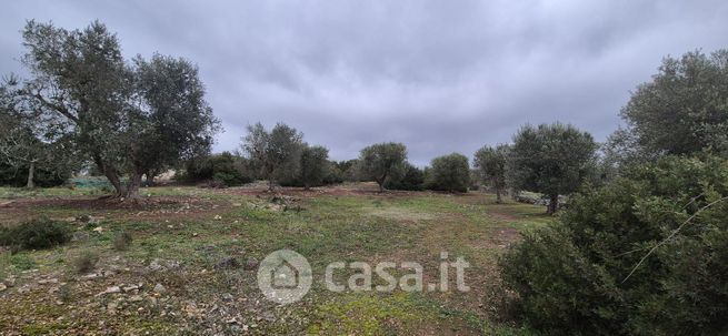 Terreno agricolo in commerciale in Contrada Cinera