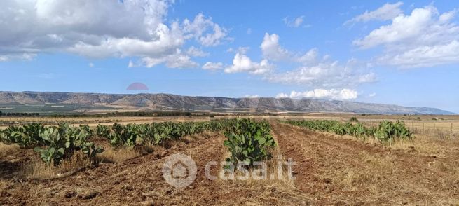 Terreno agricolo in commerciale in Contrada Bianca