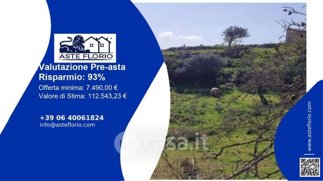 Terreno agricolo in commerciale in Contrada Bellocozzo