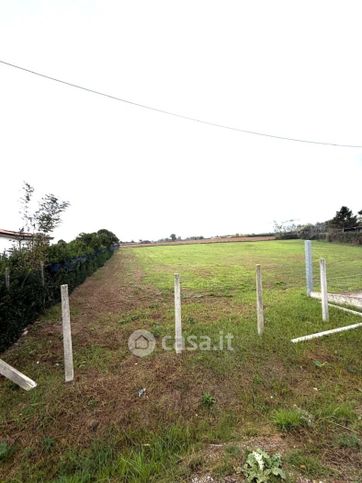 Terreno agricolo in commerciale in Via Genio Civile 0 NSC