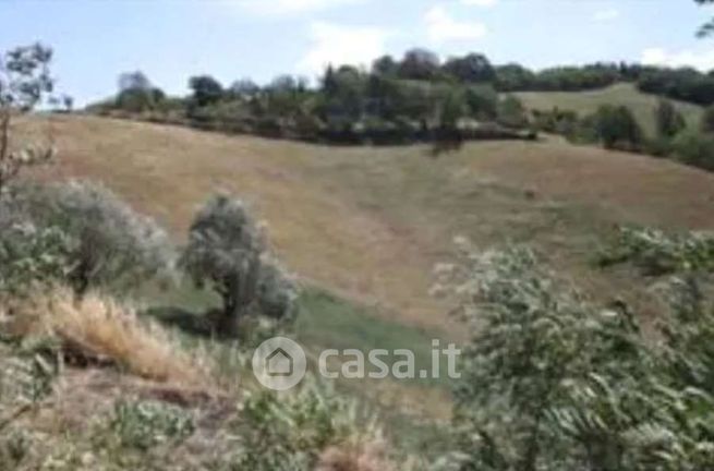 Terreno agricolo in commerciale in Via Cà Biagio