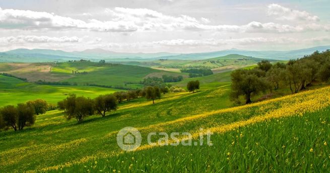 Terreno agricolo in commerciale in Contrada Storno