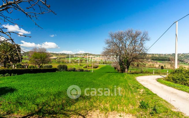 Terreno agricolo in commerciale in Contrada Asola