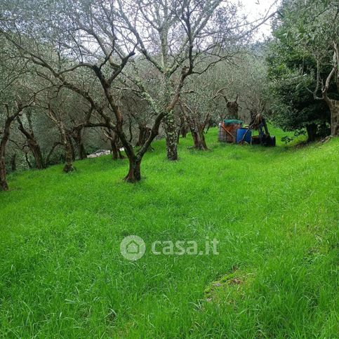 Terreno agricolo in commerciale in Via Tosco Romagnola