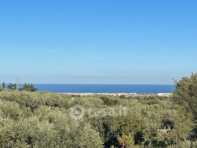 Terreno agricolo in commerciale in Contrada San Vincenzo