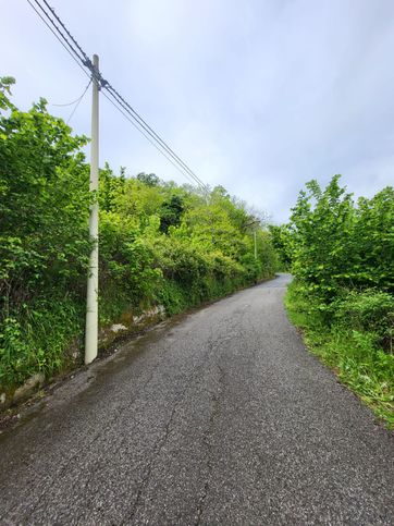 Terreno agricolo in commerciale in Via Orneto