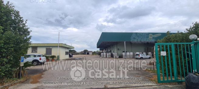 Terreno agricolo in commerciale in Strada Maremmana 85