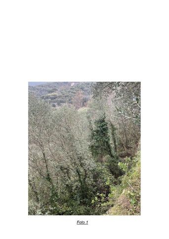 Terreno agricolo in commerciale in Via Sperlonga