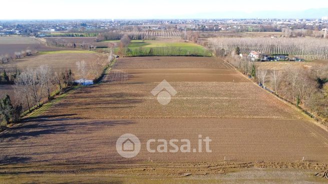 Terreno agricolo in commerciale in Via Pavanesche