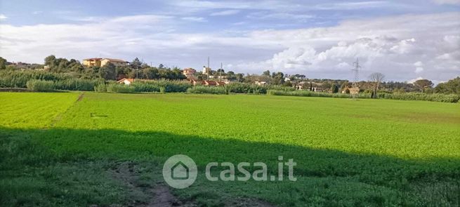Terreno agricolo in commerciale in Via Nazareno Strampelli 8