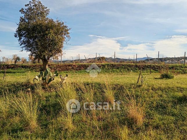 Terreno agricolo in commerciale in 