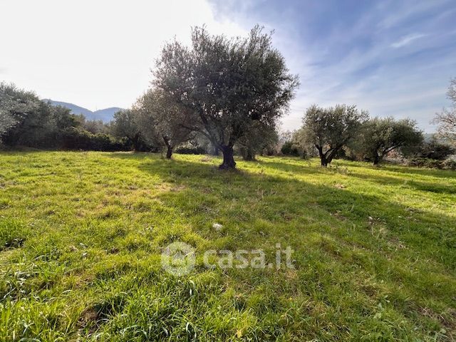 Terreno agricolo in commerciale in Via Europa