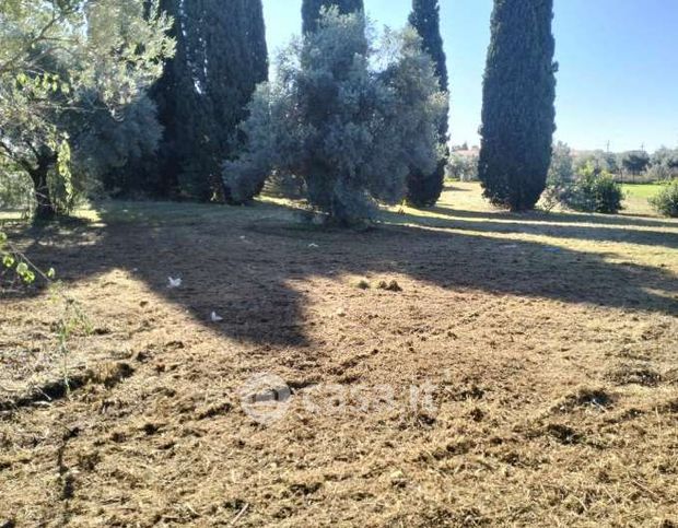 Terreno agricolo in commerciale in Strada Statale 7