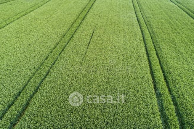 Terreno agricolo in commerciale in Via San Antonio