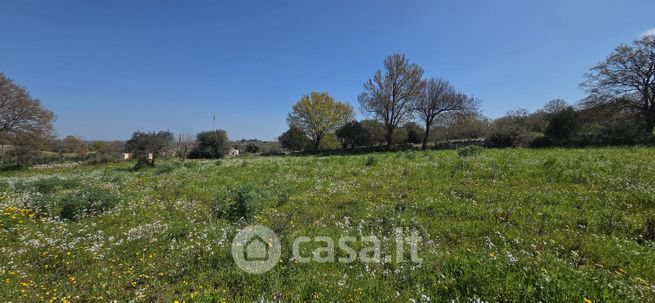 Terreno edificabile in residenziale in Contrada Satia