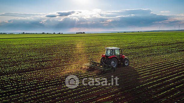 Terreno agricolo in commerciale in Via della Valle 104