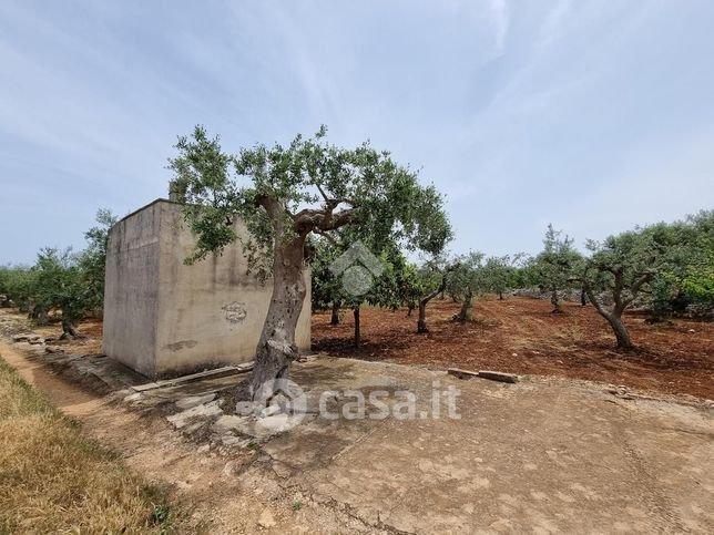 Terreno agricolo in commerciale in Viale Dragone