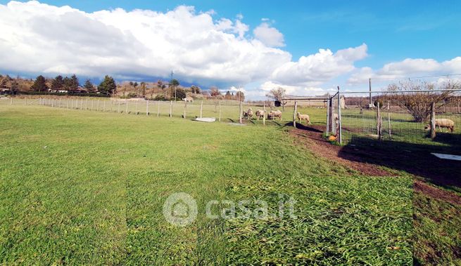 Terreno agricolo in commerciale in CASSIA