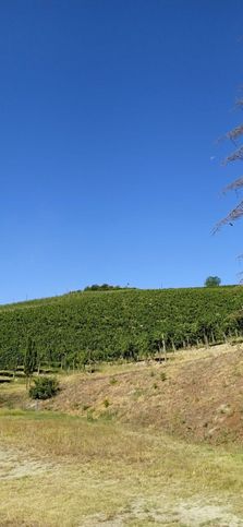 Terreno agricolo in commerciale in Strada Vecchia di Calamandrana