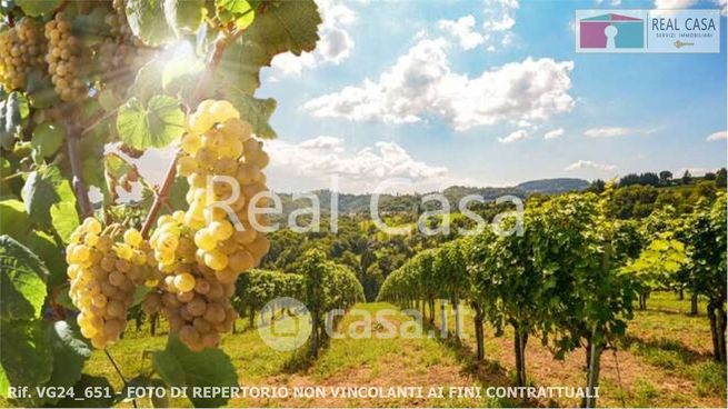 Terreno agricolo in commerciale in Via per Casalgrande