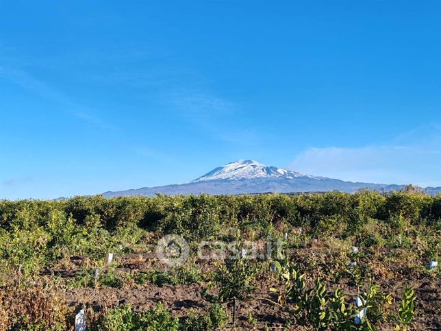 Terreno agricolo in commerciale in 