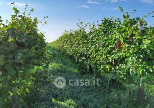 Terreno agricolo in commerciale in Via Cal del Poz