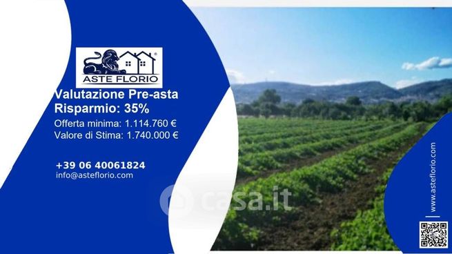 Terreno agricolo in commerciale in provinciale SCORZIELLO