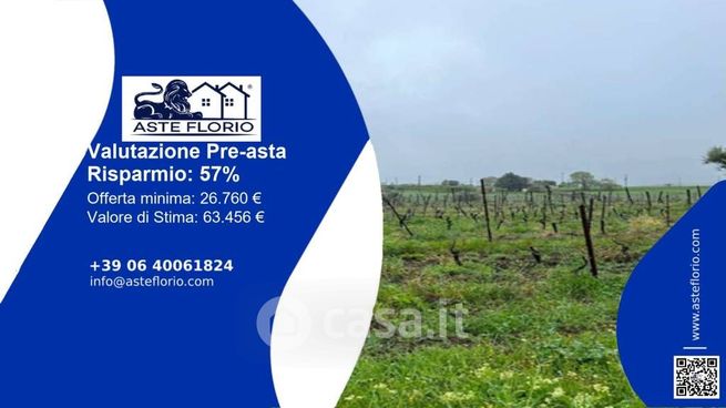 Terreno agricolo in commerciale in Strada Comunale San Martino