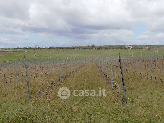 Terreno agricolo in commerciale in Contrada Arancio