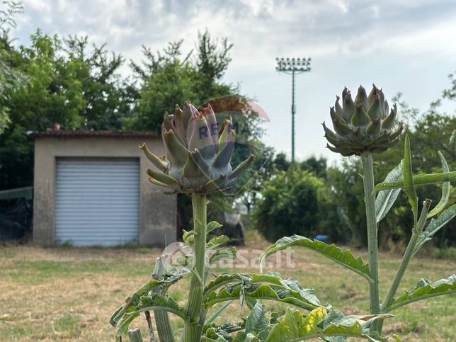 Terreno agricolo in commerciale in Via Donica 37