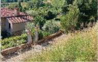Terreno agricolo in commerciale in Via Case Sparse