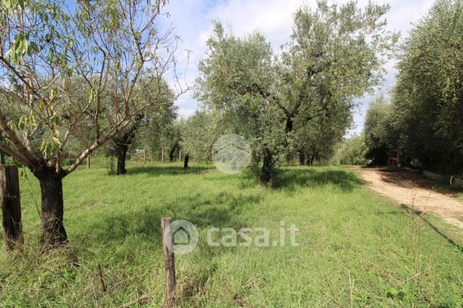 Terreno agricolo in commerciale in Via Pierpaolo Pasolini 1