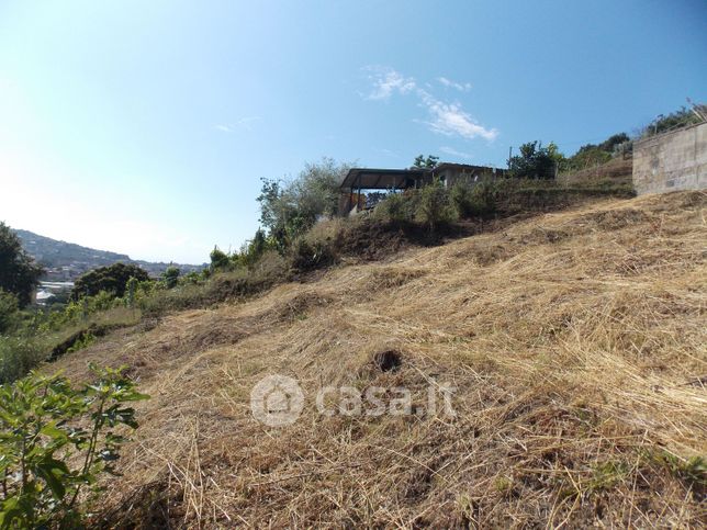 Terreno agricolo in commerciale in Via Torregaveta