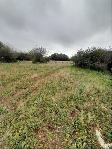 Terreno edificabile in residenziale in Contrada Lenza Vacche