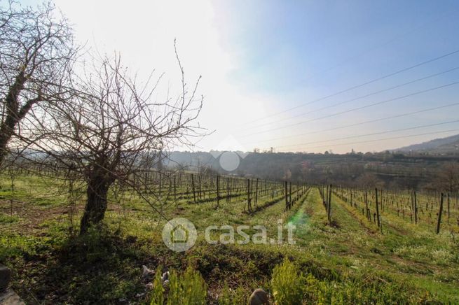 Terreno agricolo in commerciale in Via San Stefano